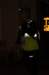dsc01398_small.jpg