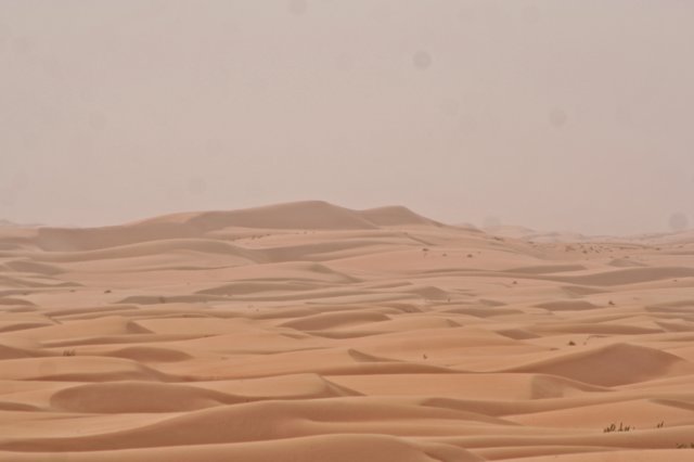 raidsahara_5424.jpg