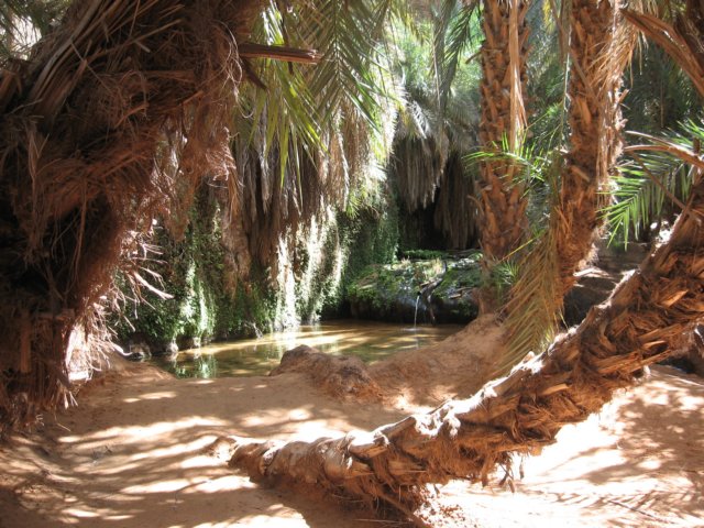 raidsahara2007306.jpg