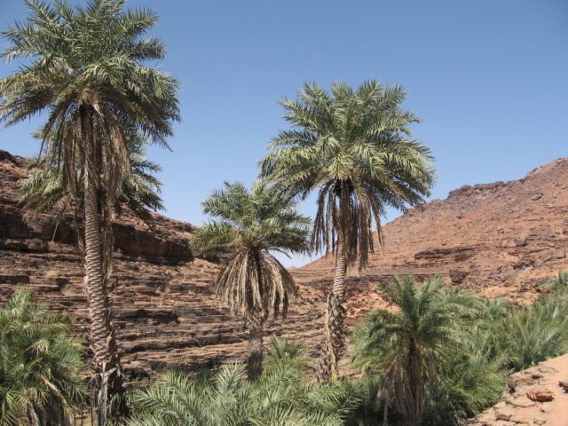 raidsahara2007307.jpg