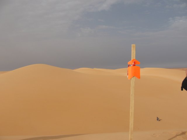 raidsahara2007128.jpg