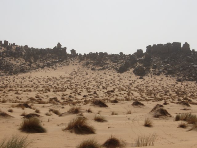 raidsahara2007167.jpg