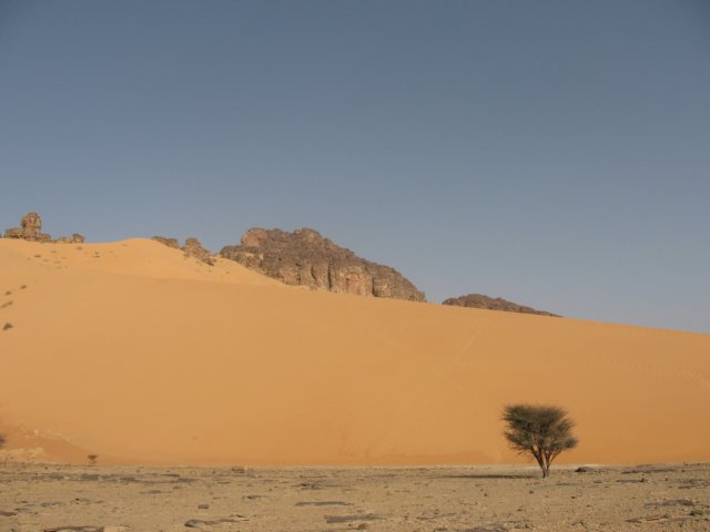 raidsahara2007188.jpg