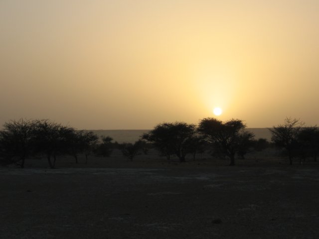 raidsahara2007208.jpg