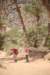 img_1662small_small.jpg