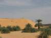 raidsahara2007239_small.jpg