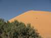 raidsahara2007250_small.jpg
