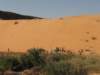 raidsahara2007256_small.jpg