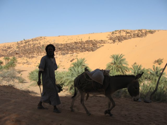 raidsahara2007268.jpg