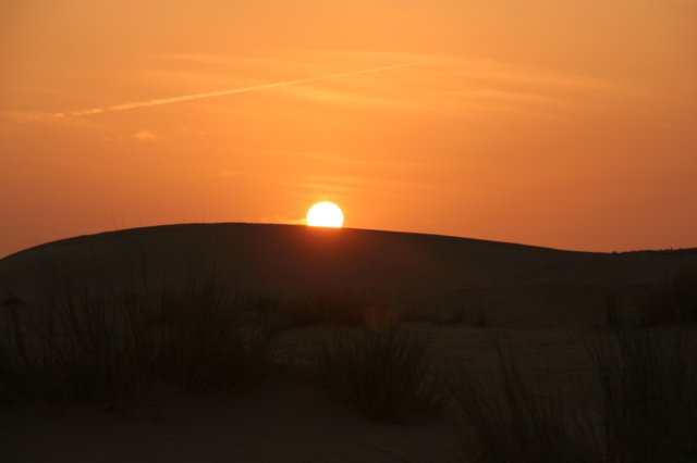 img_3651.jpg
