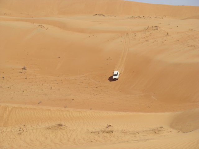 dsc03017.jpg