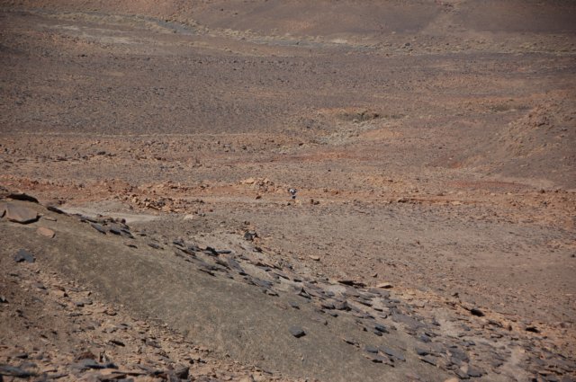 dsc_3628.jpg
